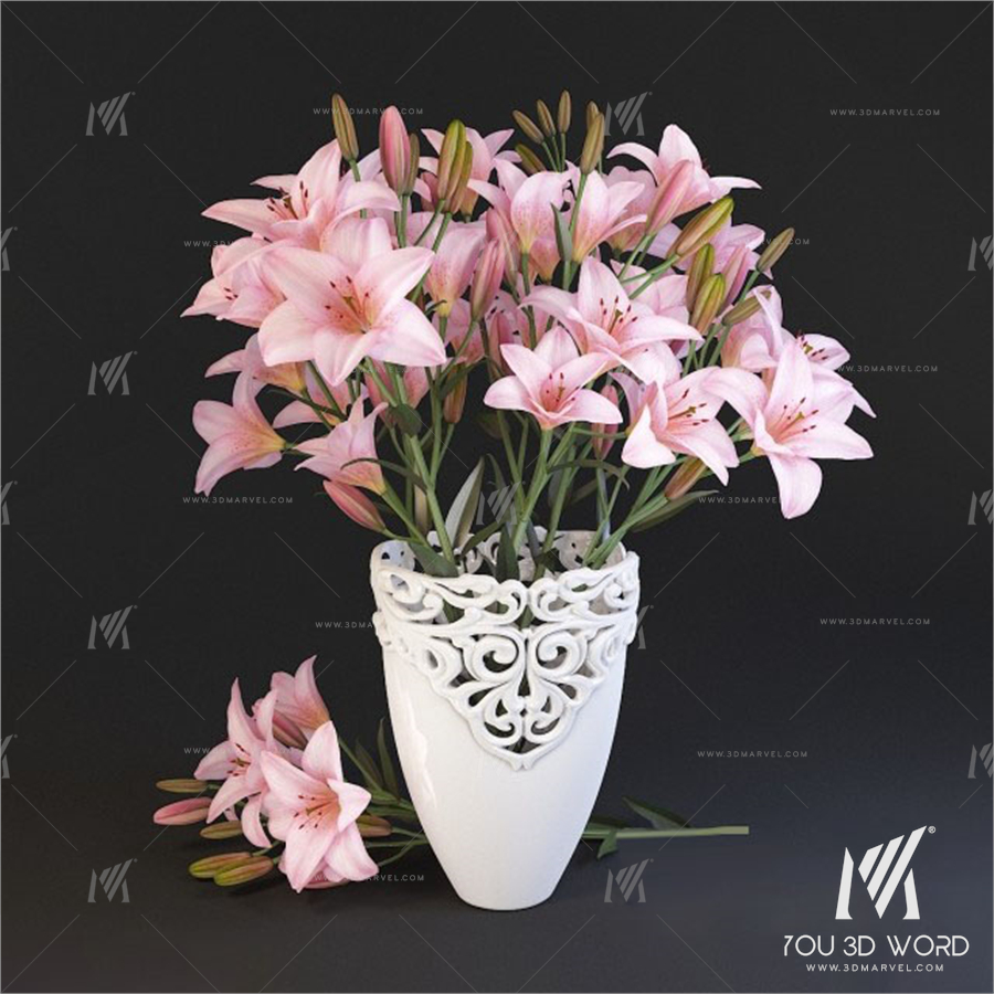 Lilium